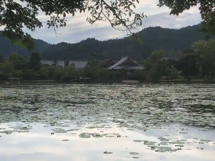 大覚寺(京都府)
