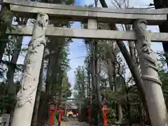 馬橋稲荷神社の鳥居