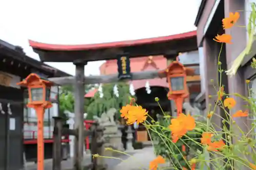 大鏑神社の景色