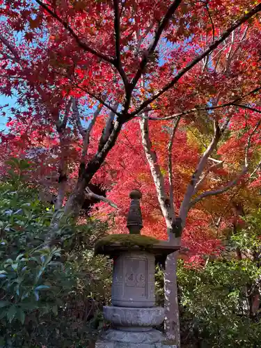 善法律寺(京都府)