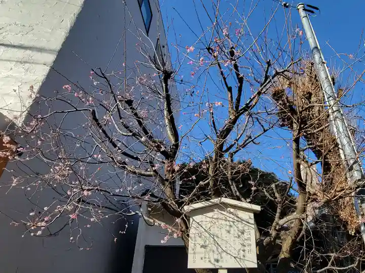 富士浅間神社の自然