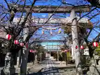 白山神社(榎白山神社)の鳥居