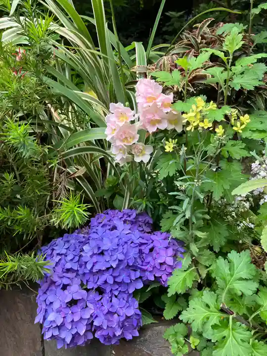 東京大神宮(東京都)