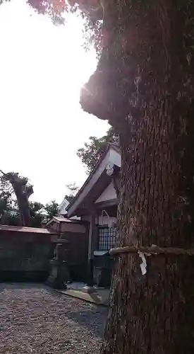 木本神社の本殿・本堂