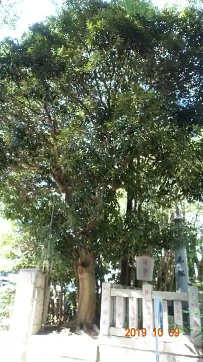 王子神社の自然