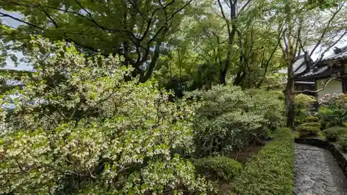 華厳寺（鈴虫寺）(京都府)