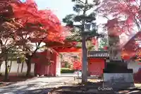 真正極楽寺(真如堂)の山門・神門