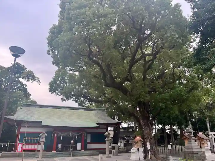 大依羅神社(大阪府)
