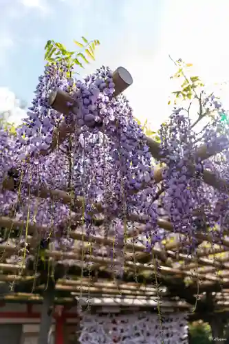 春日大社(奈良県)