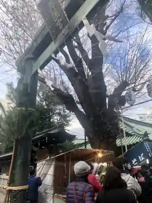 湯島天満宮の鳥居