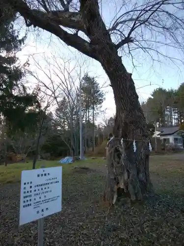 留辺蘂神社の自然