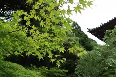 神護寺のその他建物