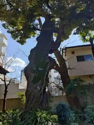 大森山王日枝神社(東京都)