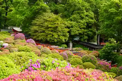 根津神社(東京都)