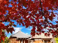 真言宗 善通寺派 薬王寺(香川県)