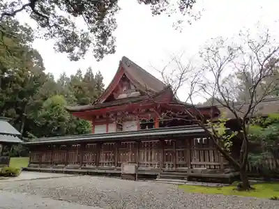 土佐神社の本殿・本堂