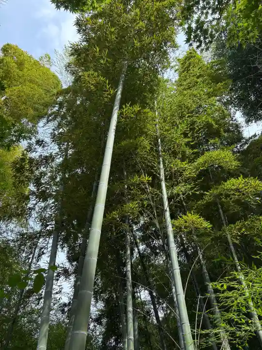 百草八幡神社(東京都)