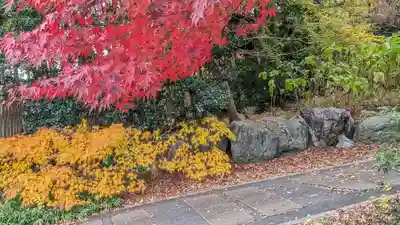 浄住寺(京都府)