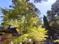 知恩院の{uncategorized: "未分類", other: "その他", undefined: "問題あり", building: "その他建物", grave: "お墓", sacred_gate: "鳥居", guardian: "狛犬", statue: "像", buddha: "仏像", history: "歴史", nature: "自然", garden: "庭園", animal: "動物", pagoda: "塔", temizu: "手水舎", mountain_gate: "山門・神門", sanctuary: "本殿・本堂", subordinate: "末社・摂社", art: "芸術", scenery: "景色", jizo: "地蔵", ema: "絵馬", goshuin: "御朱印", omikuji: "おみくじ", items: "授与品その他", amulet: "お守り", goshuincho: "御朱印帳", eats: "食事", festival: "お祭り", votive_dance: "神楽", shichigosan: "七五三参", wedding: "結婚式", experience: "体験その他", initially: "初詣", around: "周辺", anti_infection: "感染症対策"}