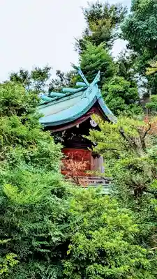 白金氷川神社の本殿・本堂
