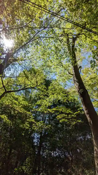 赤山禅院(京都府)