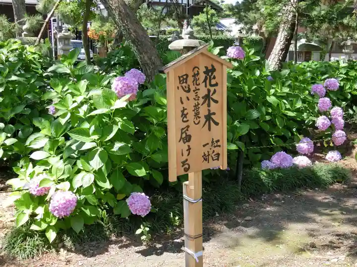 長浜八幡宮の自然