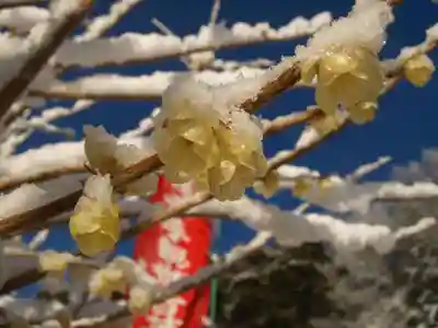 清水寺の自然