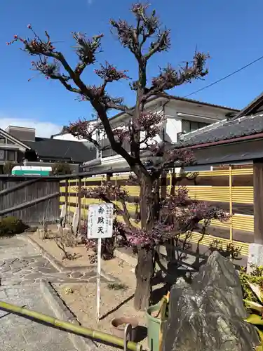 金剛院(兵庫県)