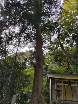 熊野神社(杉田・中原)(神奈川県)