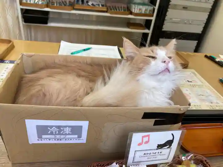 駒込妙義神社(東京都)