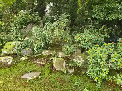 安楽寺(京都府)