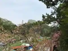 白鹿松神社の自然