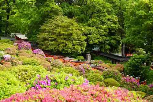 根津神社(東京都)