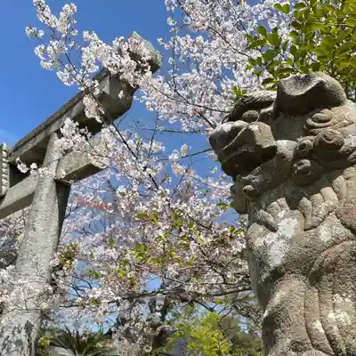 代田八幡宮の狛犬