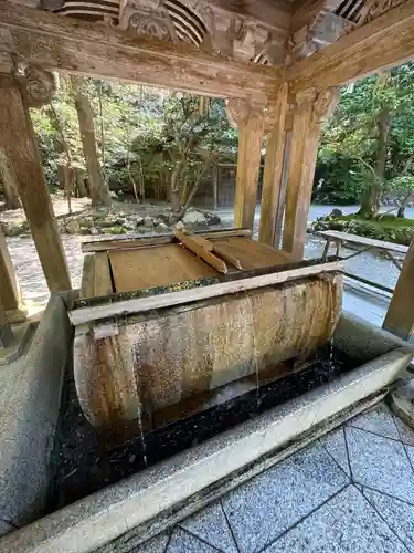 彌彦神社(新潟県)