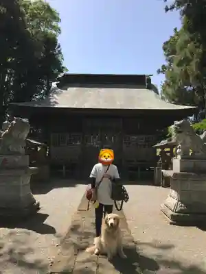 胸形神社の本殿・本堂