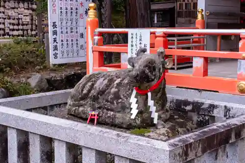 長岡天満宮(京都府)