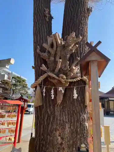 川越八幡宮の自然