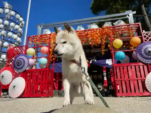 別小江神社の動物