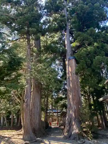 八坂神社の自然