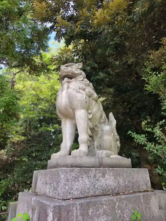 福井県護国神社の狛犬