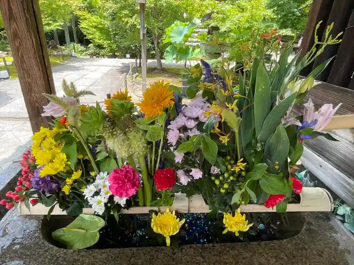 勝林寺(京都府)