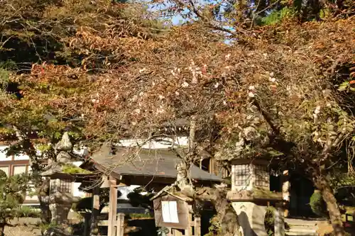 鹿島大神宮の景色