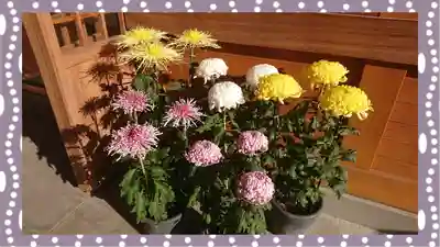 於菊稲荷神社(群馬県)