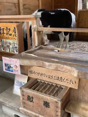 平塚八幡宮(神奈川県)