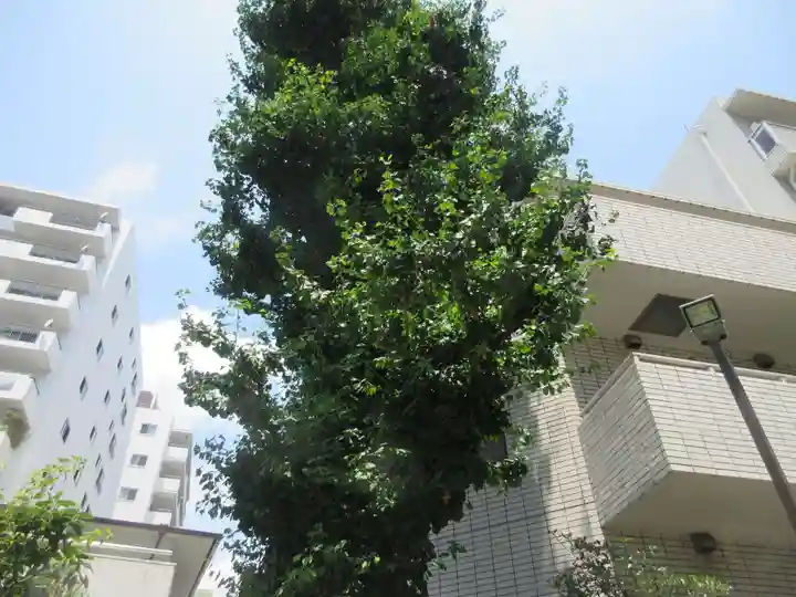 高輪神社(東京都)