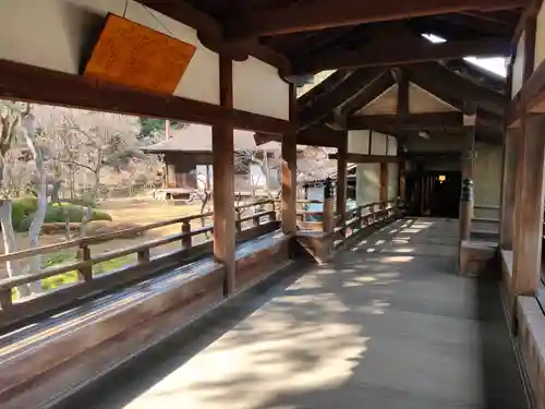 喜多院(埼玉県)