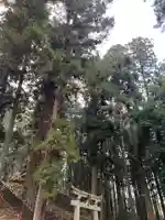 大宮温泉神社の自然