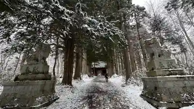 戸隠神社九頭龍社(長野県)
