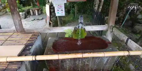 出雲大神宮の手水舎